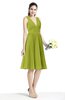 Plain A-line V-neck Zip up Chiffon Sash Plus Size Bridesmaid Dresses