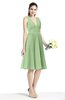 Plain A-line V-neck Zip up Chiffon Sash Plus Size Bridesmaid Dresses