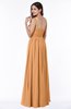 Traditional A-line One Shoulder Sleeveless Chiffon Floor Length Plus Size Bridesmaid Dresses