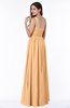 Traditional A-line One Shoulder Sleeveless Chiffon Floor Length Plus Size Bridesmaid Dresses