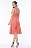 Modern A-line Sleeveless Zip up Tea Length Plus Size Bridesmaid Dresses