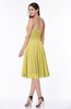 Modern A-line Sleeveless Zip up Tea Length Plus Size Bridesmaid Dresses
