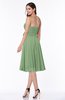 Modern A-line Sleeveless Zip up Tea Length Plus Size Bridesmaid Dresses