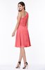 Informal A-line Asymmetric Neckline Sleeveless Chiffon Ruching Plus Size Bridesmaid Dresses