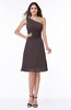 Informal A-line Asymmetric Neckline Sleeveless Chiffon Ruching Plus Size Bridesmaid Dresses