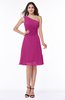 Informal A-line Asymmetric Neckline Sleeveless Chiffon Ruching Plus Size Bridesmaid Dresses
