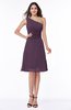 Informal A-line Asymmetric Neckline Sleeveless Chiffon Ruching Plus Size Bridesmaid Dresses