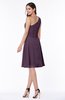 Informal A-line Asymmetric Neckline Sleeveless Chiffon Ruching Plus Size Bridesmaid Dresses