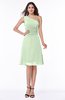 Informal A-line Asymmetric Neckline Sleeveless Chiffon Ruching Plus Size Bridesmaid Dresses