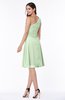 Informal A-line Asymmetric Neckline Sleeveless Chiffon Ruching Plus Size Bridesmaid Dresses