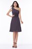 Informal A-line Asymmetric Neckline Sleeveless Chiffon Ruching Plus Size Bridesmaid Dresses