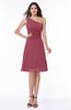 Informal A-line Asymmetric Neckline Sleeveless Chiffon Ruching Plus Size Bridesmaid Dresses