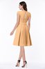 Elegant Jewel Chiffon Knee Length Sash Plus Size Bridesmaid Dresses