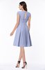 Elegant Jewel Chiffon Knee Length Sash Plus Size Bridesmaid Dresses
