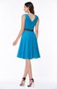 Elegant A-line V-neck Zip up Chiffon Plus Size Bridesmaid Dresses