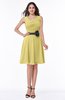 Elegant A-line V-neck Zip up Chiffon Plus Size Bridesmaid Dresses