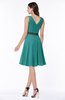 Elegant A-line V-neck Zip up Chiffon Plus Size Bridesmaid Dresses