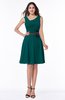 Elegant A-line V-neck Zip up Chiffon Plus Size Bridesmaid Dresses