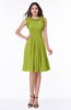 Elegant A-line Zipper Chiffon Knee Length Plus Size Bridesmaid Dresses