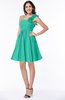 Modern A-line One Shoulder Sleeveless Zipper Chiffon Plus Size Bridesmaid Dresses