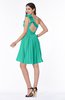 Modern A-line One Shoulder Sleeveless Zipper Chiffon Plus Size Bridesmaid Dresses