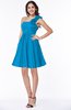 Modern A-line One Shoulder Sleeveless Zipper Chiffon Plus Size Bridesmaid Dresses