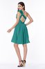 Modern A-line One Shoulder Sleeveless Zipper Chiffon Plus Size Bridesmaid Dresses
