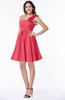 Modern A-line One Shoulder Sleeveless Zipper Chiffon Plus Size Bridesmaid Dresses