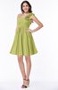 Modern A-line One Shoulder Sleeveless Zipper Chiffon Plus Size Bridesmaid Dresses