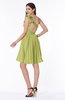 Modern A-line One Shoulder Sleeveless Zipper Chiffon Plus Size Bridesmaid Dresses