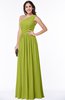 Elegant Asymmetric Neckline Chiffon Floor Length Pleated Plus Size Bridesmaid Dresses