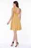 Modern A-line Asymmetric Neckline Sleeveless Zip up Flower Plus Size Bridesmaid Dresses