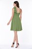 Modern A-line Asymmetric Neckline Sleeveless Zip up Flower Plus Size Bridesmaid Dresses