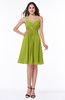 Informal Asymmetric Neckline Sleeveless Zipper Chiffon Short Plus Size Bridesmaid Dresses