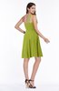 Informal Asymmetric Neckline Sleeveless Zipper Chiffon Short Plus Size Bridesmaid Dresses