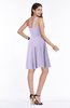 Informal Asymmetric Neckline Sleeveless Zipper Chiffon Short Plus Size Bridesmaid Dresses