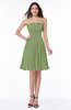 Modern A-line Strapless Half Backless Chiffon Ribbon Plus Size Bridesmaid Dresses