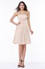 Modern A-line Strapless Half Backless Chiffon Ribbon Plus Size Bridesmaid Dresses