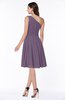 Simple A-line One Shoulder Chiffon Knee Length Plus Size Bridesmaid Dresses