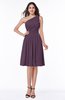 Simple A-line One Shoulder Chiffon Knee Length Plus Size Bridesmaid Dresses