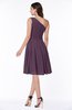 Simple A-line One Shoulder Chiffon Knee Length Plus Size Bridesmaid Dresses