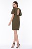 Modest Sheath Zip up Chiffon Short Plus Size Bridesmaid Dresses
