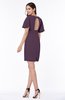 Modest Sheath Zip up Chiffon Short Plus Size Bridesmaid Dresses