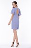 Modest Sheath Zip up Chiffon Short Plus Size Bridesmaid Dresses