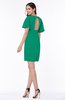 Modest Sheath Zip up Chiffon Short Plus Size Bridesmaid Dresses
