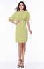 Modest Sheath Zip up Chiffon Short Plus Size Bridesmaid Dresses