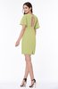 Modest Sheath Zip up Chiffon Short Plus Size Bridesmaid Dresses