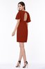 Modest Sheath Zip up Chiffon Short Plus Size Bridesmaid Dresses