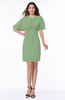 Modest Sheath Zip up Chiffon Short Plus Size Bridesmaid Dresses