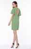 Modest Sheath Zip up Chiffon Short Plus Size Bridesmaid Dresses